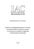 Metais pesados, EDTA, feijão-de-porco, girassol, milho, especiação iônica, Mehlich-3, DTPA, Minteq