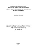 conservação de germoplasma, cultura de meristemas, Hippeastrum, indexação, micropropagação, temperatura, sacarose