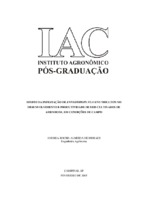 Insecta, Thysanoptera, Thripidae, tripes-do-prateamento, Arachis hypogaea L., resistência de plantas a insetos