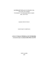 trabalho profissional – educação – formação de professores