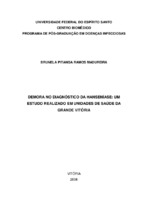 Hanseníase, demora, diagnóstico, transmissão, incapacidades